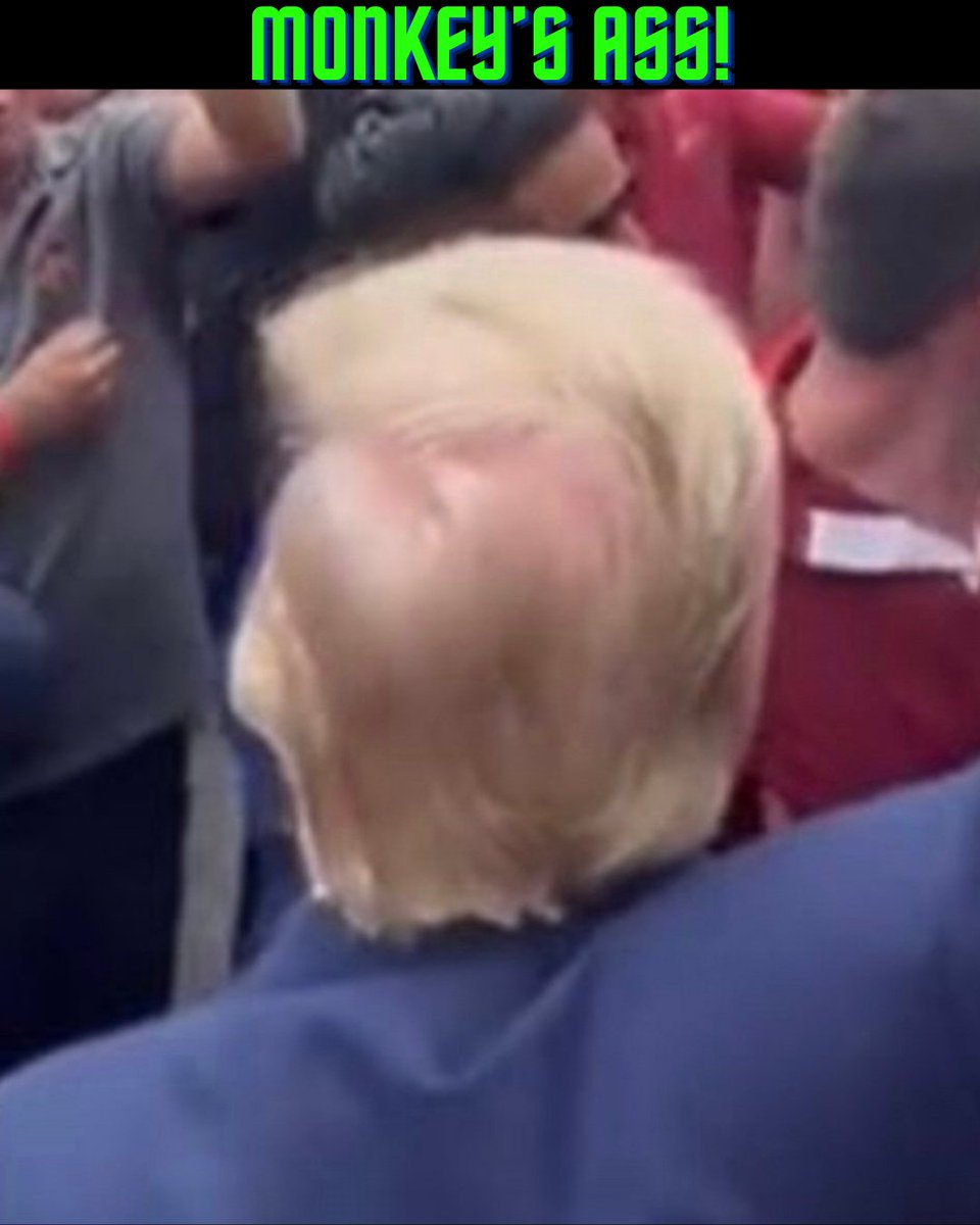 SlavaDeBonkski's tweet photo. @MotorflyJAB @Motabhai012 @LauraLoomer @TeamTrump #TrumpHair #MonkeysAss #RatsAss #TrumpSmells #TrumpSmellsLikePutinsAss https://t.co/Fdf8xxUekB