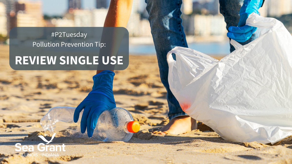 GreatLakesP2's tweet image. Review where you can #reduce single-use plastics in your life. 

Is it a water bottle, a plastic bag from the store, or plastic utensils from takeout?

Start small and eliminate one source of plastic from your life. Small changes can make a big impact.

#P2tuesday
