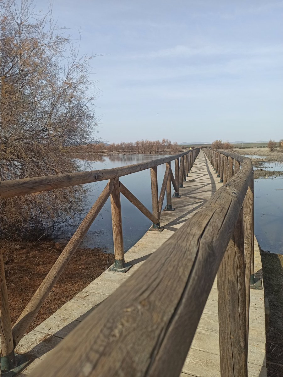 La Laguna de Fuente Piedra, Antequera - Málaga