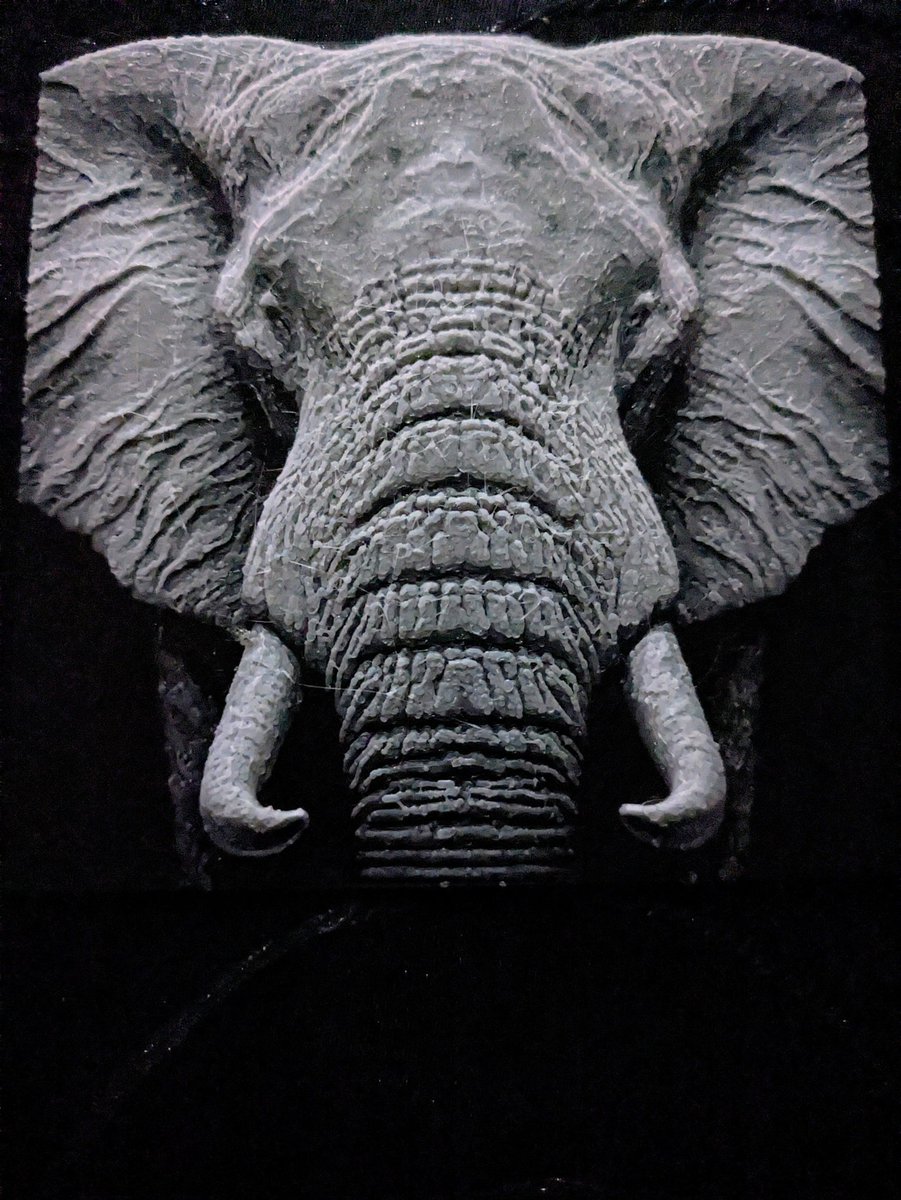 3D printed Hueforge Picture are amazing 👀👀

#HueForge 
#3Dprinting