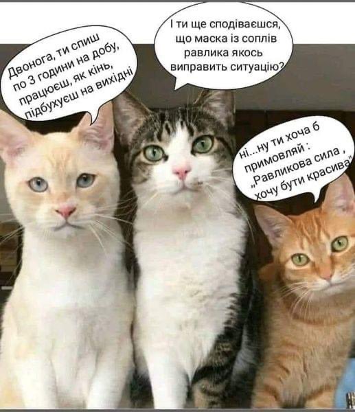 Сансара здорової людини

Якийсь балканський клоун в мені виправляє на «здорову блядину», але мамо, я тримаюсь за шапку.