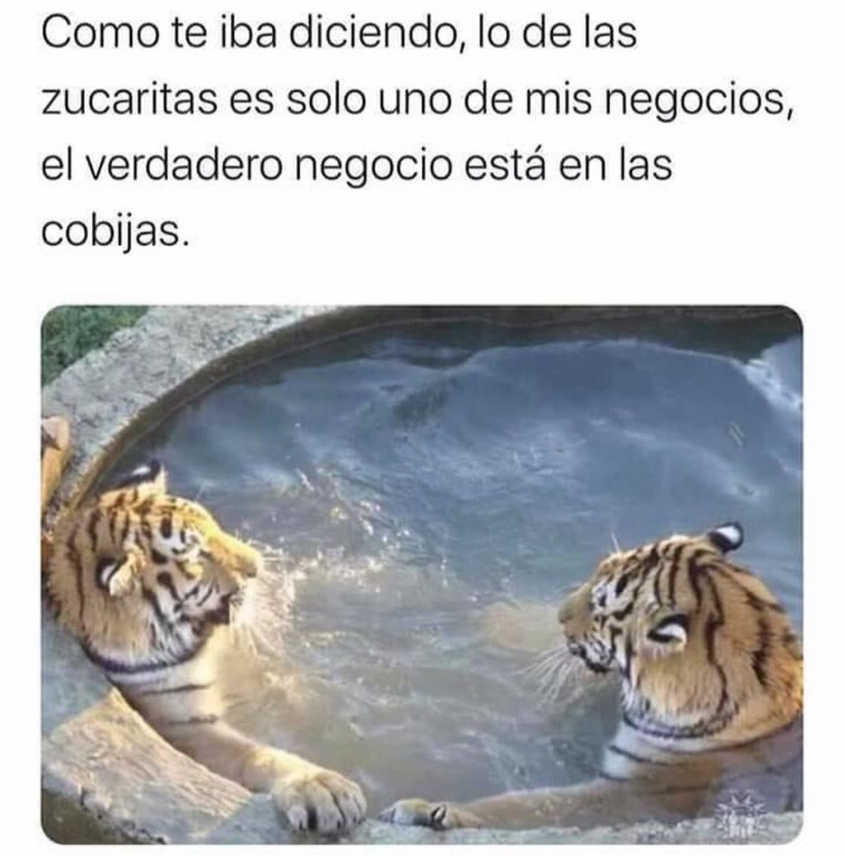 Juan Manuel Jiménez tweet media