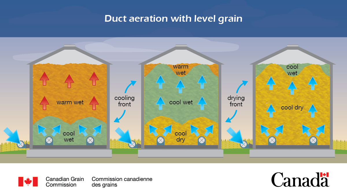 It's cold in many areas of Canada this week, which is a great time to aerate your grain. The cold, dry air is perfect to cool down your grain rapidly and help prevent infestation. Learn more about aerating your grain: ow.ly/1QYz50Qrt61 #CdnAg #WestCdnAg #EastCdnAg