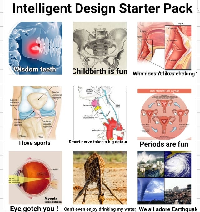 #IntelligentDesign