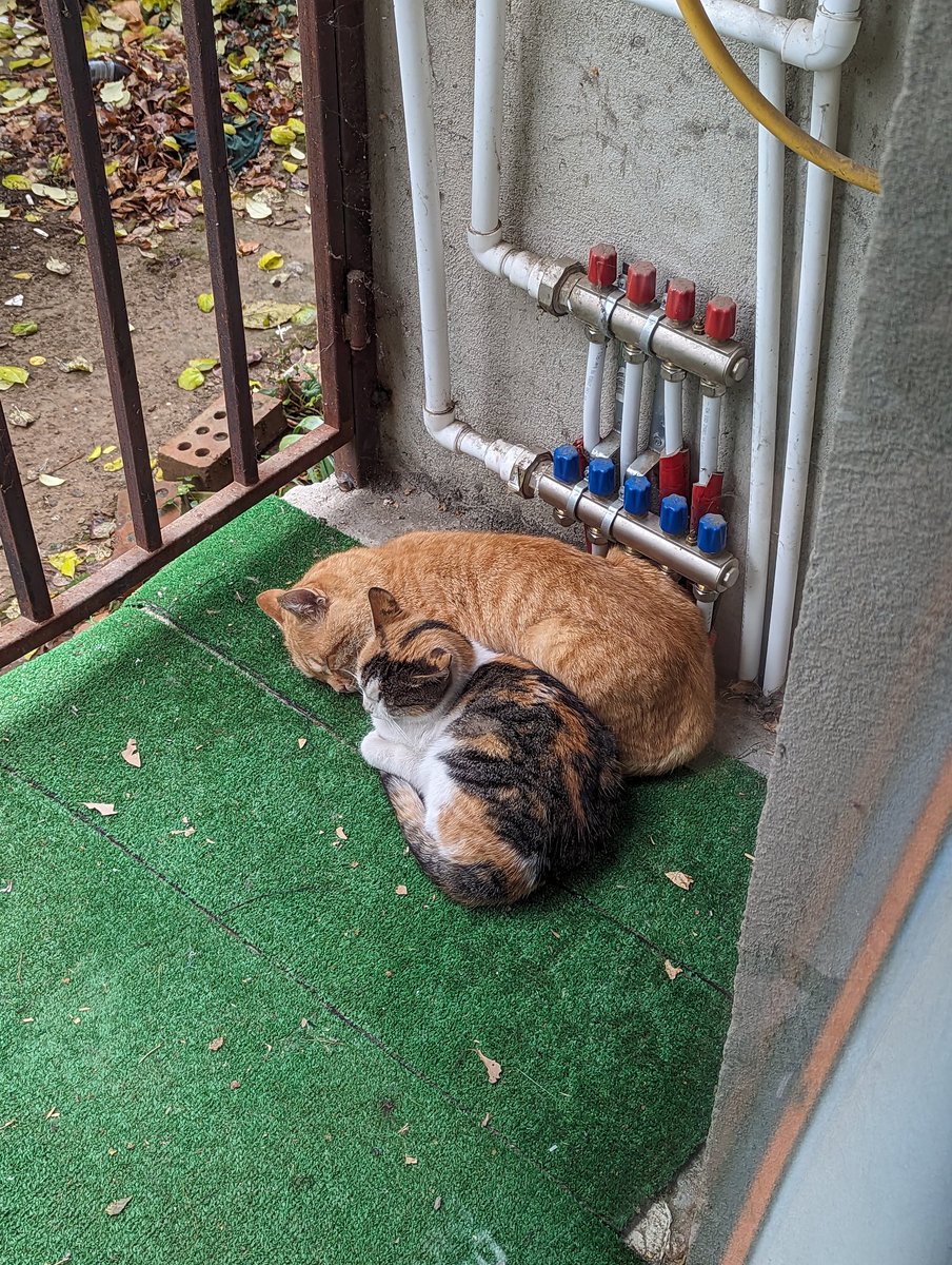 smargelov's tweet photo. @TinyBetelgeuse Два из шести https://t.co/caKMyvTFrv