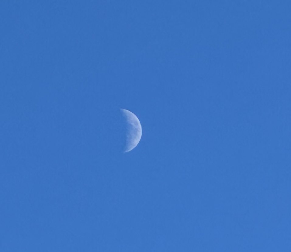 chickebabe3's tweet photo. Daytime moon
#cellphonepics https://t.co/pgkDSH5KaE