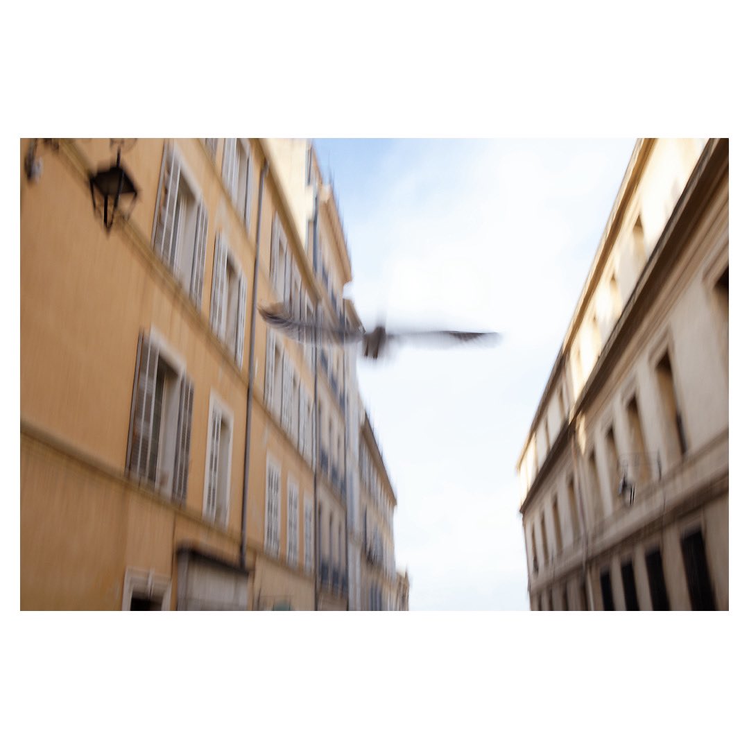 Marseille 

#marseille #photowalk #cheznousamarseille #jeanpaulcotte #igersmarseille #streetphotography #cityphotography #igersfrance #canonphotography #canonfrance #canonr10 #wipplay #grainedephotographe #legoutdesfollowers #reponsesphoto #lepanier #choosemarseille