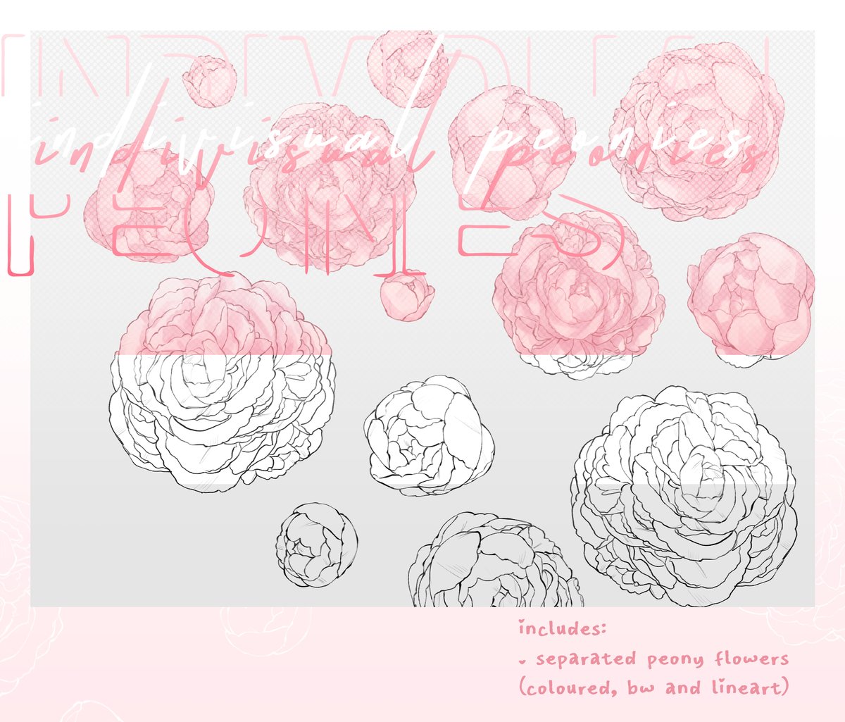 _yukiflake's tweet photo. 🌸 𝕊ℍ𝕆ℙ 𝕌ℙ𝔻𝔸𝕋𝔼 ✨
⁕∩∩ hand-drawn peony brush [+ psd file]

add some sweetness to your artworks, designs or even graphics 🩷 might i say it's perfect for valentine's 😳🍫
〖 brush only https://t.co/aTE066nKi9┊+ psd https://t.co/V5T3P6ttbb 〗 https://t.co/Cfc2d8anbD