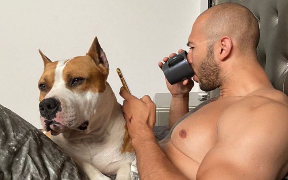 Chill’n with Top $G 

#TopG #TopDogonSolana #Sol #Solana #SOLANA #Crypto #1000xgem