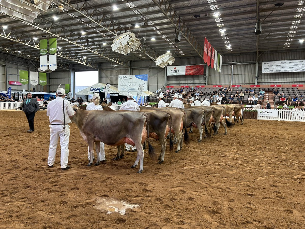 jascott01's tweet photo. Back at International Dairy Week today #IDW currently judging for the National Jersey Show is underway. If in Tatura today or tomorrow call into the Pioneer stand to see us and enter the competition for a thermal camera. #pioneerseedsau #dairy https://t.co/aVT5WPqk1Q