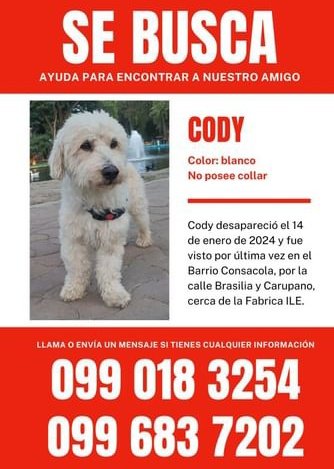 AlertaMePerdi's tweet photo. #PERDIDO #LOJA
Nombre: #CODDY
Fecha: 14/01/24
Sector: Norte, Carúpano y Brasilia
Sexo: Macho
Raza: Mestizo
Obsv : Blanco, pata derecha estaba cortado el pelaje
Contacto: 0990183254-0996837202
¡Ayúdalo a volver con su familia!
#AlertaMePerdí https://t.co/wBbZxpco8x