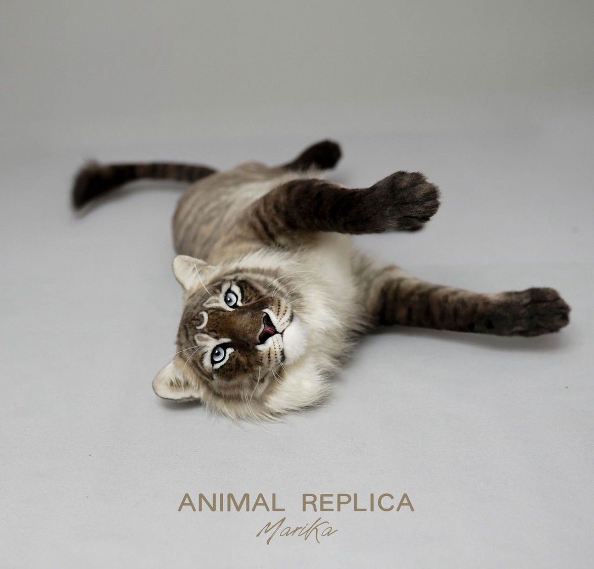 Had a lot of concerned people dming me about this!
I commissioned Marika (maria_kalinina777) a replica of Nilakshi! 
She tagged me on her IG posts✨
I’m very excited and will be posting photos when he arrives♥️♥️ 
all is well!