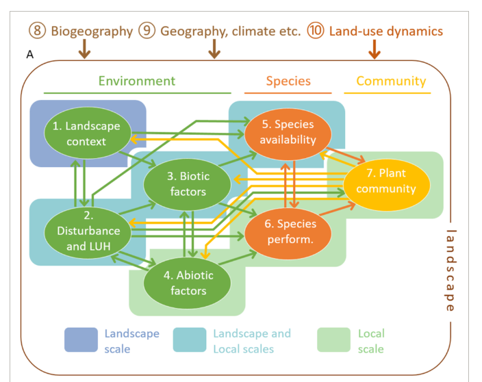 Thrilled to see our review out on feedback loops during ecological succession, brilliantly led by #MichielVanBreugel with many others from #sUCCESS <a href="/2ndFOR1/">2ndFOR</a> <a href="/GEMA_UMayor/">GEMA UMayor</a> #synthesis
doi.org/10.1111/brv.13…