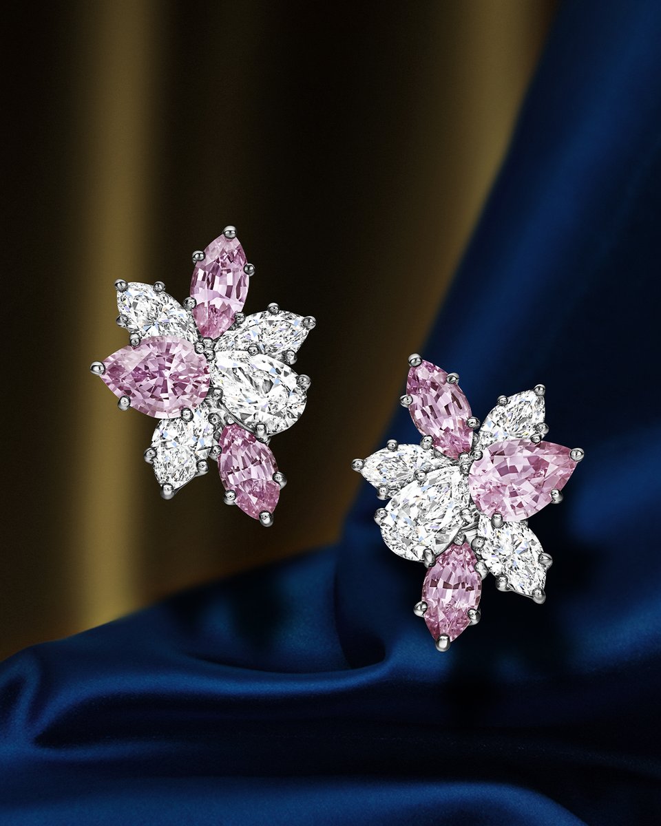 HarryWinston's tweet photo. Crafted from ethereal pink sapphires and sparkling diamonds, these earrings exude graceful red carpet elegance. Have a Hollywood moment in these #WinstonCluster jewels: https://t.co/MqL3m5CHk0 #HarryWinston https://t.co/2a5130XYLu