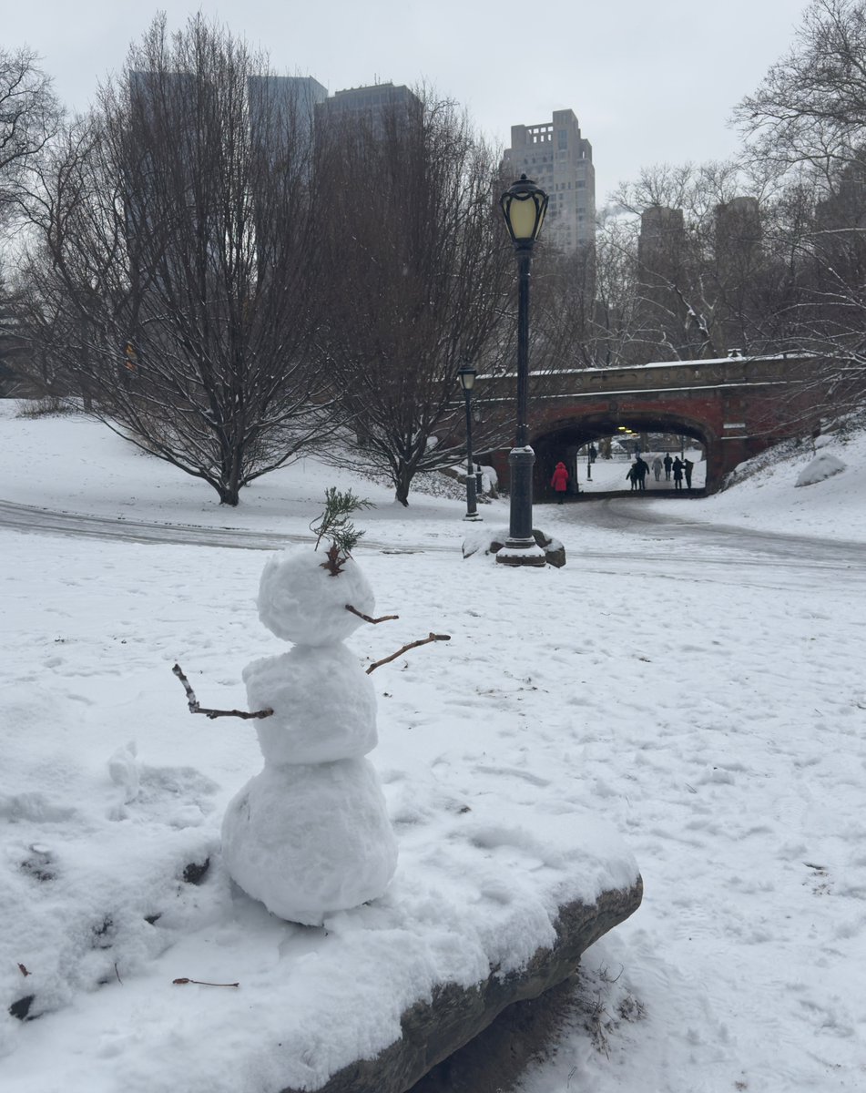 yamlaranas's tweet photo. #NYCSnow701Days https://t.co/BSAmOwv47v