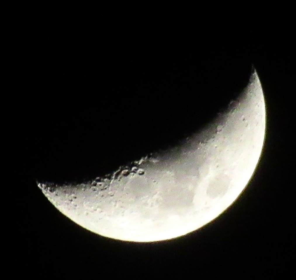 BloodyPolitics's tweet image. Just popped outside to see if today&apos;s waxing moon was visible. I may have got a tiny Jupiter too, but I&apos;m not confident so I won&apos;t post it. 😋

#moonhour #moon 
#compactcamera