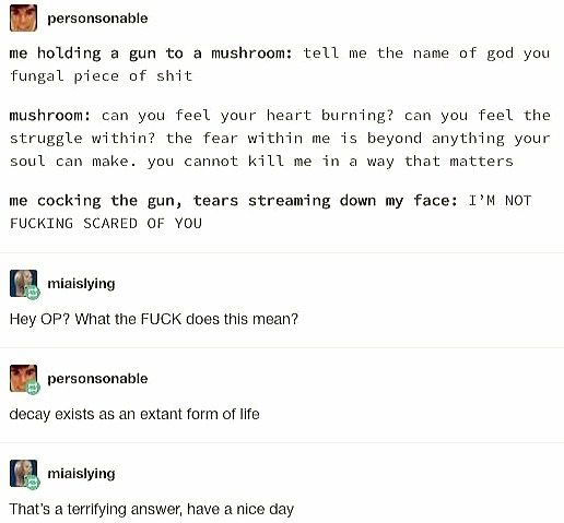 Gnome Anne May Perceive Me tweet media