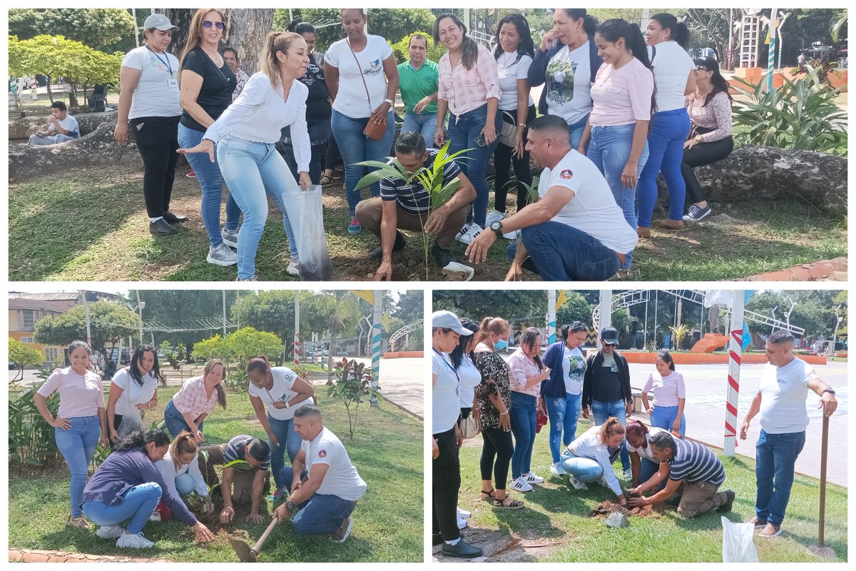 15/01/2024 Plaza Bolivar actividad siembra de árbol en  conmemoración del Día del Educador presente CDCE del municipio García de Hevia.
<a href="/Annydednna/">Dednna Táchira</a> 
<a href="/Berzabethg1/">Berzabethgandicaoficial</a>
<a href="/CDCETachira/">CDCE Táchira</a> 
<a href="/codennat/">codennat</a> 
<a href="/FreddyBernal/">Freddy Bernal</a> 
<a href="/garciadeheviac2/">garciadeheviacra</a> 
@MPPEDUCACION .