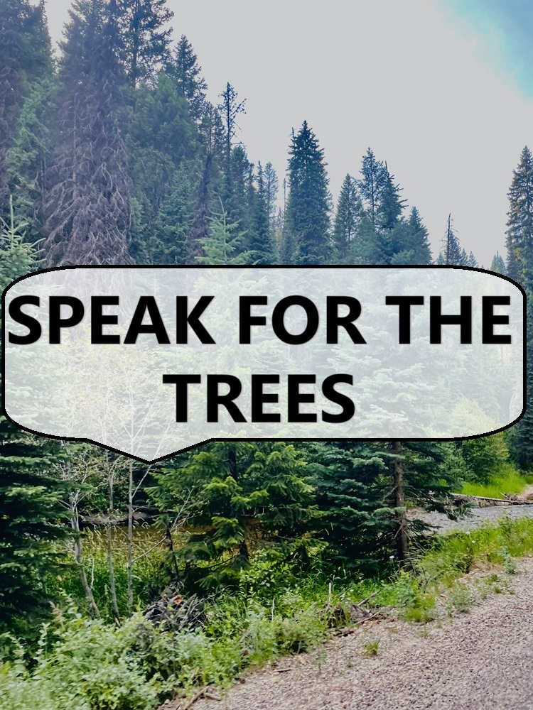 Don't forget to join our Zoom meeting this Thursday to learn about the new forest plan for the Nez Perce-Clearwater National Forests, the risk it poses to wildlife and wildlands, and what you can do to oppose it. Go to friendsoftheclearwater.org/forestplan/ for the link!