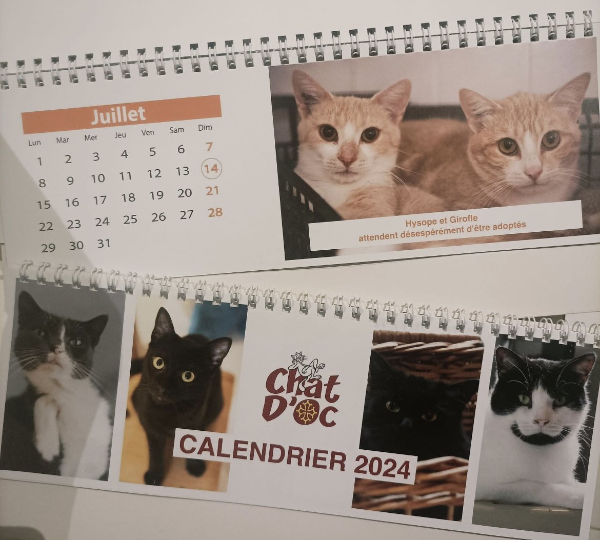 chatdoc13's tweet photo. Nos calendriers 2024 sont actuellement disponibles à la vente au tarif de 10€ 🥳 Les bénéfices permettront d'acheter de la nourriture, de la litière et de payer les frais vétérinaires de nos petits protégés. 
Vous pouvez nous contacter au 0680655337 ou contact@lechatdoc.fr ! https://t.co/xTPmQiRZzF