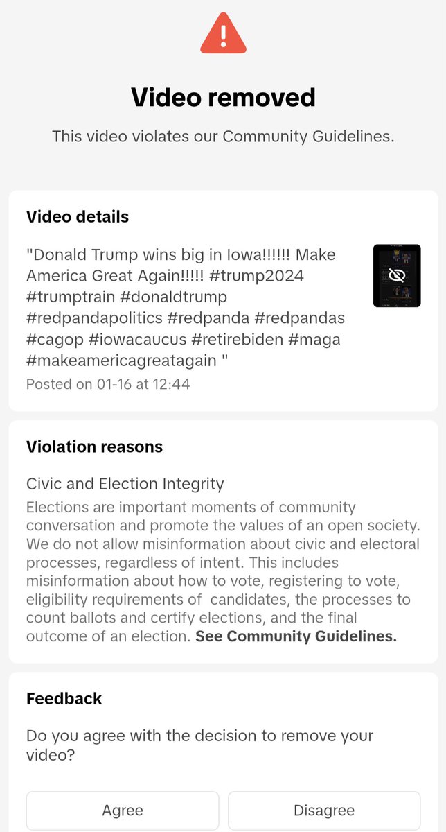 RPP_TheReal's tweet photo. This is my second TikTok video to be removed. It is pretty obvious what side TikTok is on. All I was doing was congratulating Donald Trump for winning Iowa and this video gets removed. #RedPandaPolitics #RedPandas #RedPanda #InternetCensorship https://t.co/auiIjSjV6e