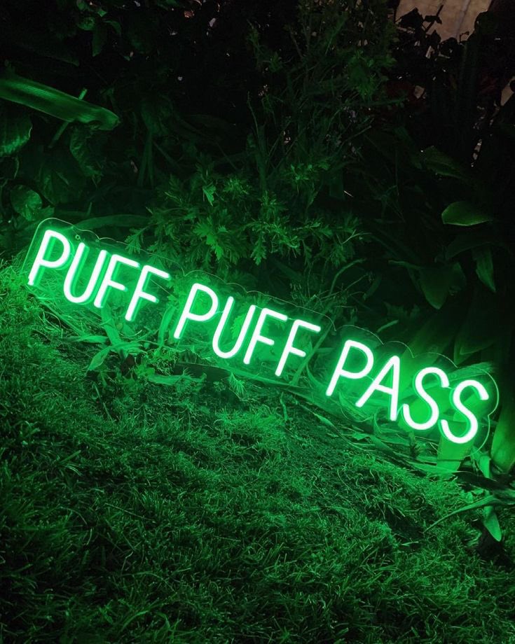 Alwayzavibe🍃💨 tweet media