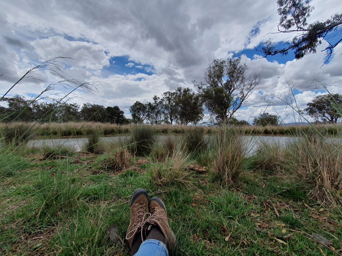 Water Technology tweet media