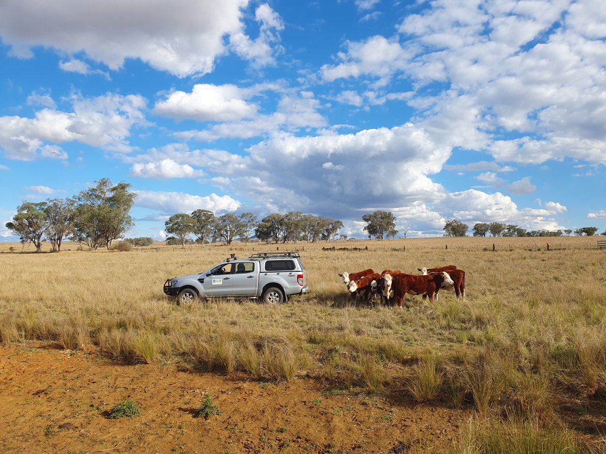 Water Technology tweet media