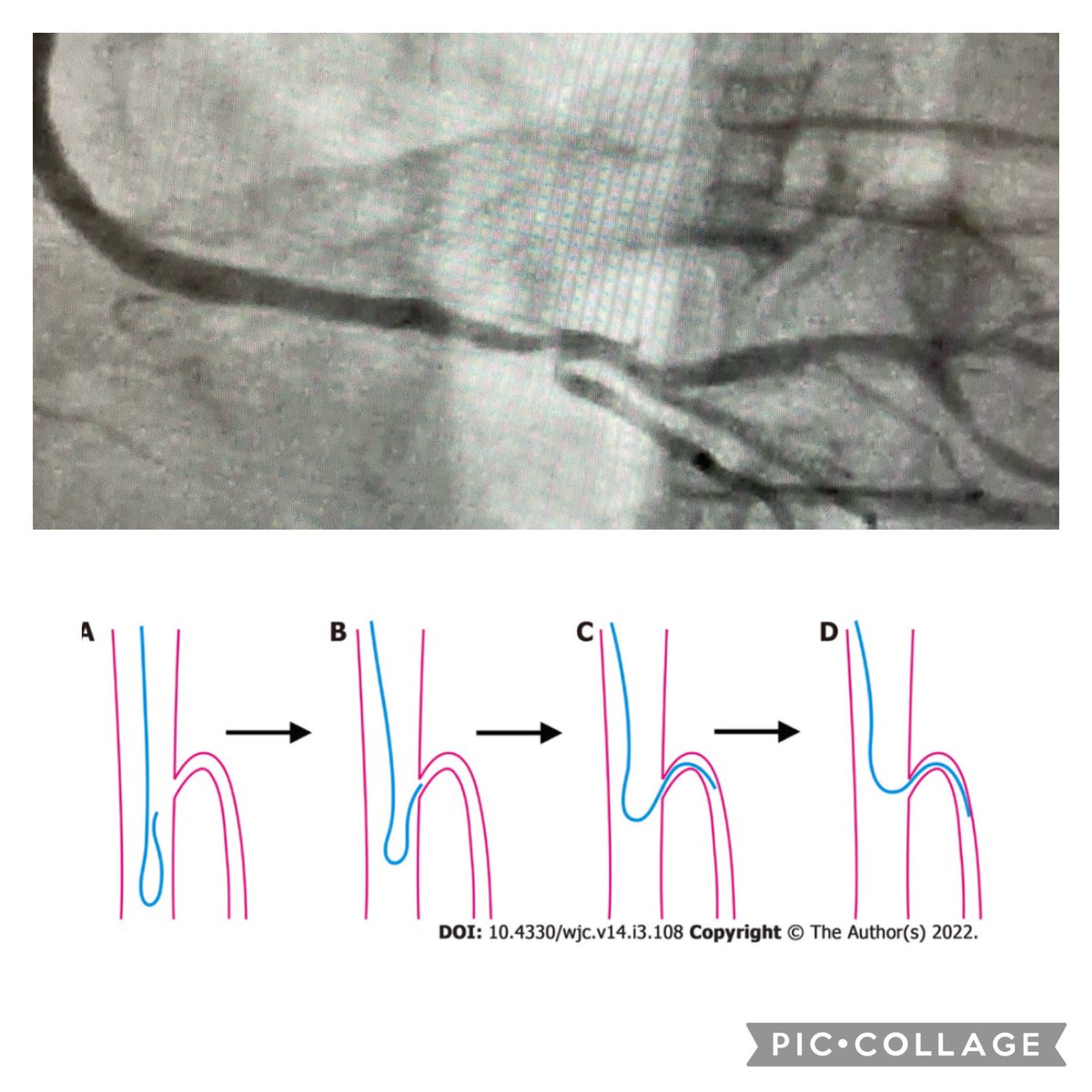André Manica, MD PhD tweet media