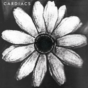 NeilDubeMusic's tweet photo. #Cardiacs https://t.co/IczCqIOKcV