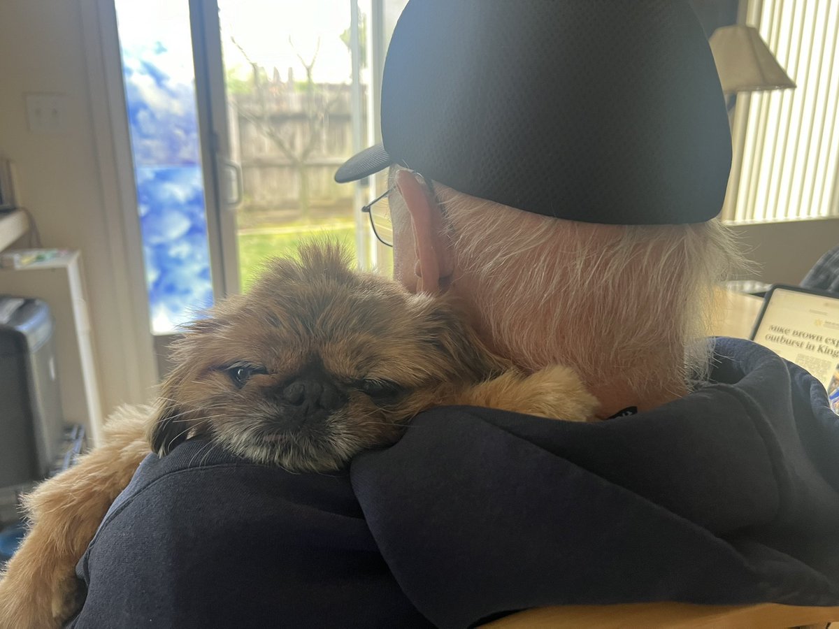 R.I.P. Stagger   You were the best doggy💙