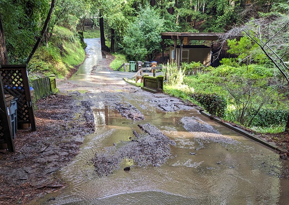 MillValleyDPW's tweet photo. Rainy season is upon us - leaves swept into the street will block storm drains and lead to flooding. We encourage the community to dispose of leaves in green bins, and if safe to, lend a hand and keeping drains free of leafy debris.
https://t.co/b819BN2l2P https://t.co/5IqCK4TnKL
