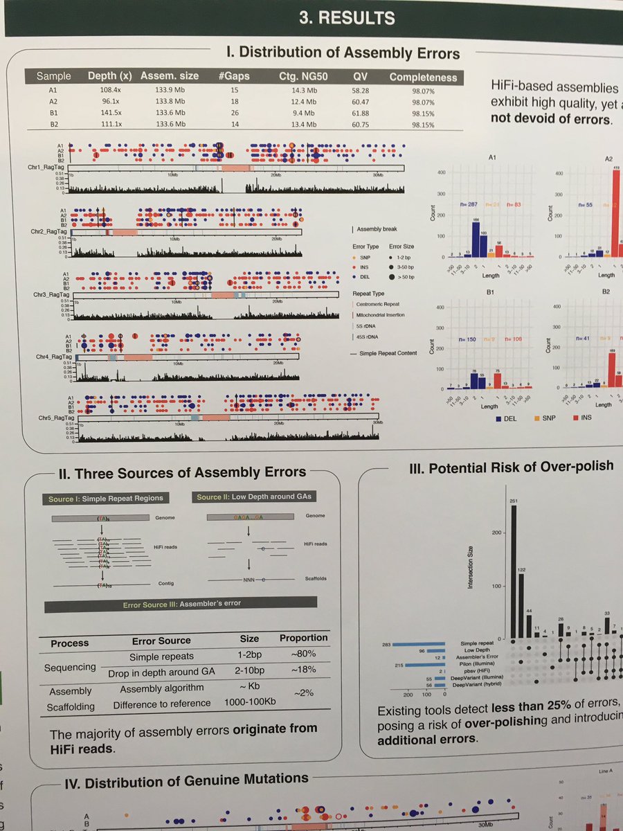 hin175's tweet photo. Interesting poster, and an amaizing work… unfortunately, systematic errors also exist in PacBio reads… not technology is perfect 😭 https://t.co/0bitODfGx4