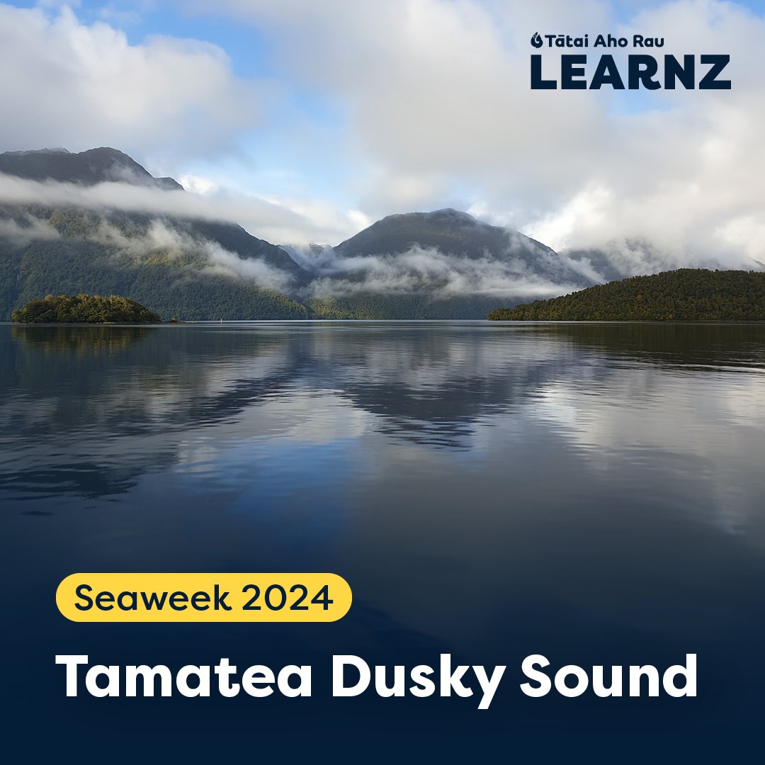 🌊 Seaweek 2024: Connecting with Our Seas 🌏

Celebrate Seaweek in 2024 with the free LEARNZ trip “Environmental guardianship in Tamatea Dusky Sound”!

Learn more about, and sign up to the trip by visiting learnz.org.nz/tamatea241

#Seaweek2024 #sustainability #aotearoa #kaitiaki