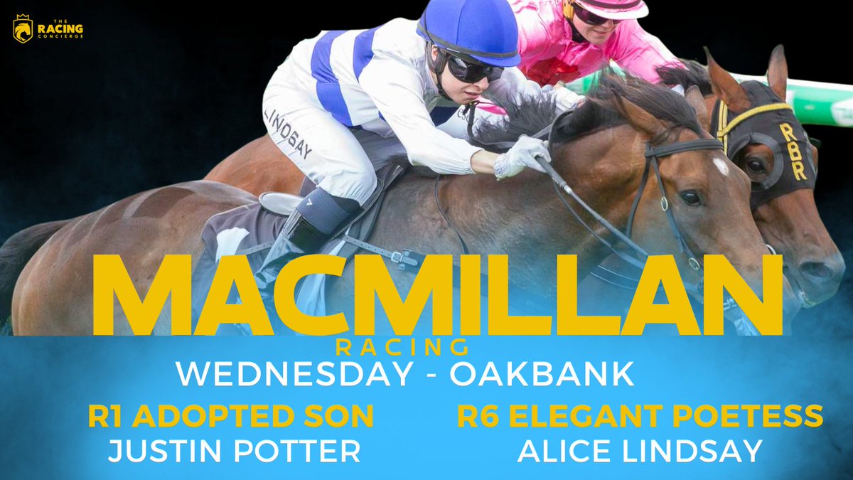 RaceMacmillan's tweet photo. ADOPTED SON and ELEGANT POETESS load up for an afternoon at @OakbankRaces this afternoon

ADOPTED SON drops back to 1100M whilst ELEGANT POETESS is have her first start for the stable https://t.co/dAsrqUB5Qx