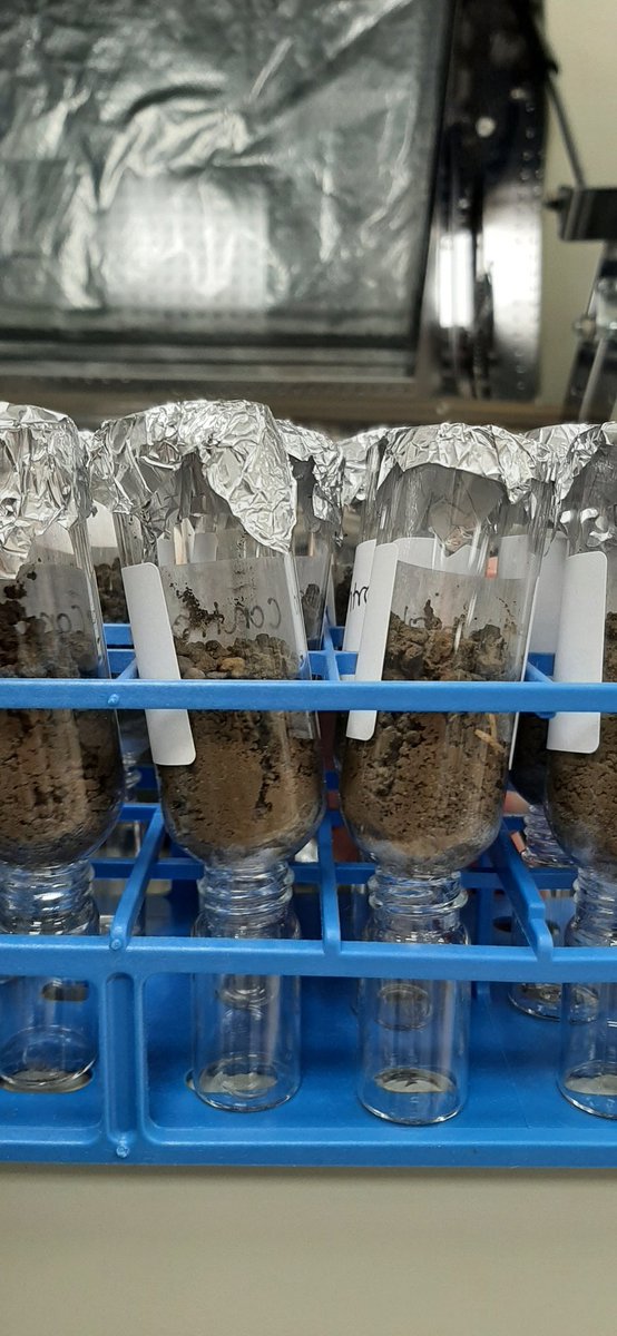 We started the last set of our #additive degradation experiments today with soil from our partners in India 🇮🇳 Each experiment runs for 3 weeks and we're testing 6 different #soil types - looking forward to seeing all the data coming together for this soon 😍