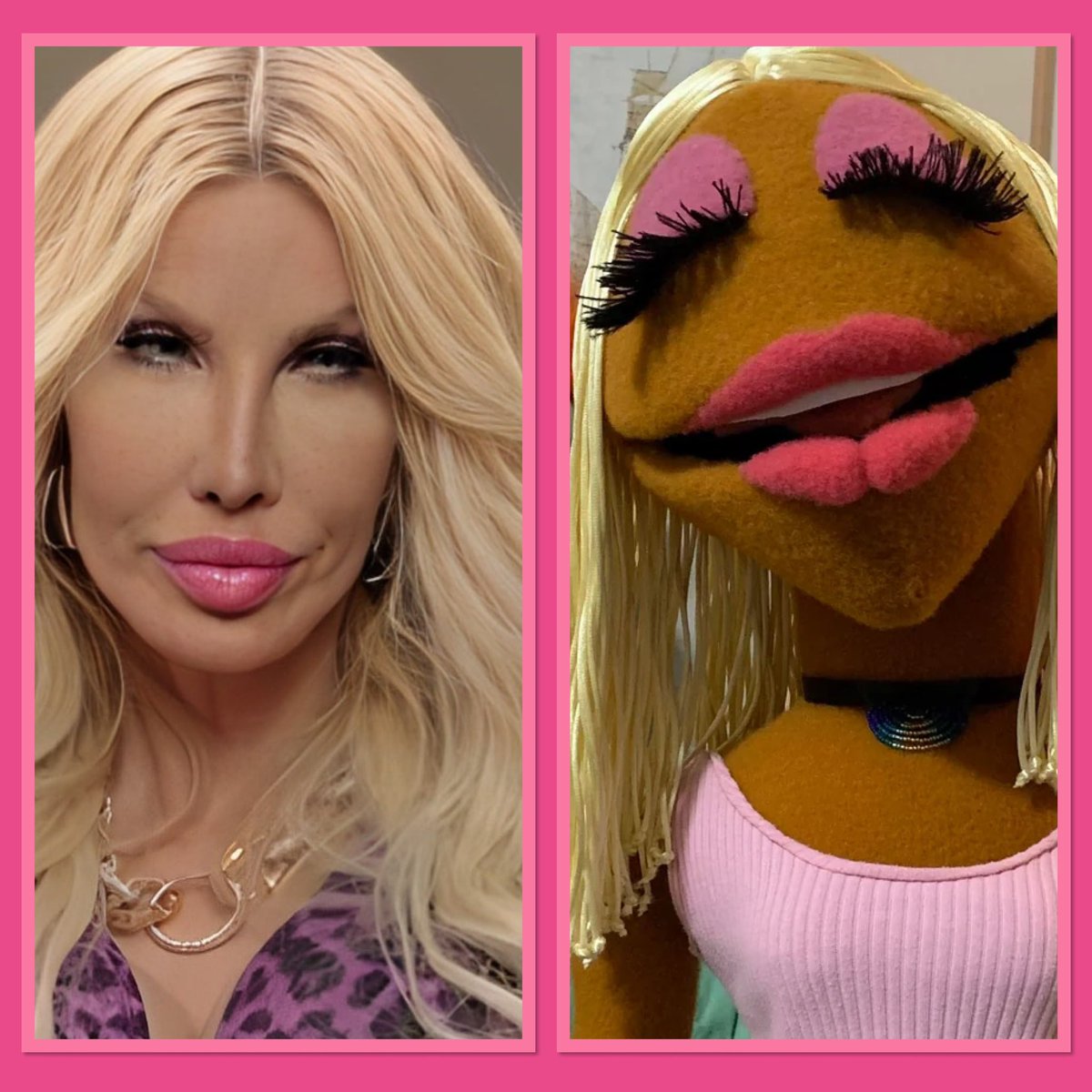 ImPerfeKtMel's tweet photo. I knew I recognized her from somewhere! #90dayfiance #Janicethemuppet https://t.co/WfrALwO8aw