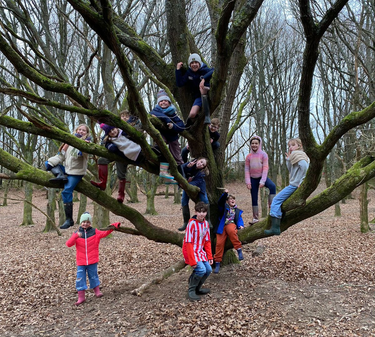 Bedales Prep ODW tweet media