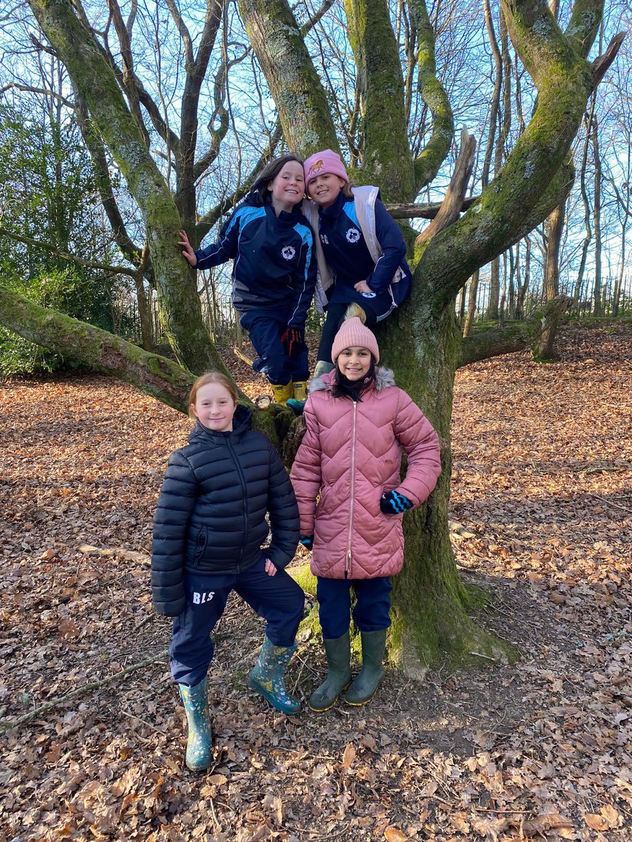 Bedales Prep ODW tweet media