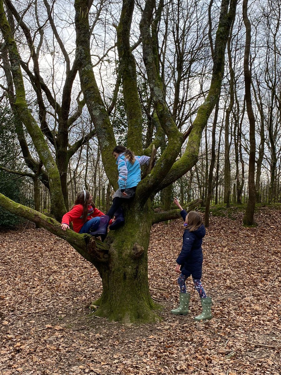 Bedales Prep ODW tweet media