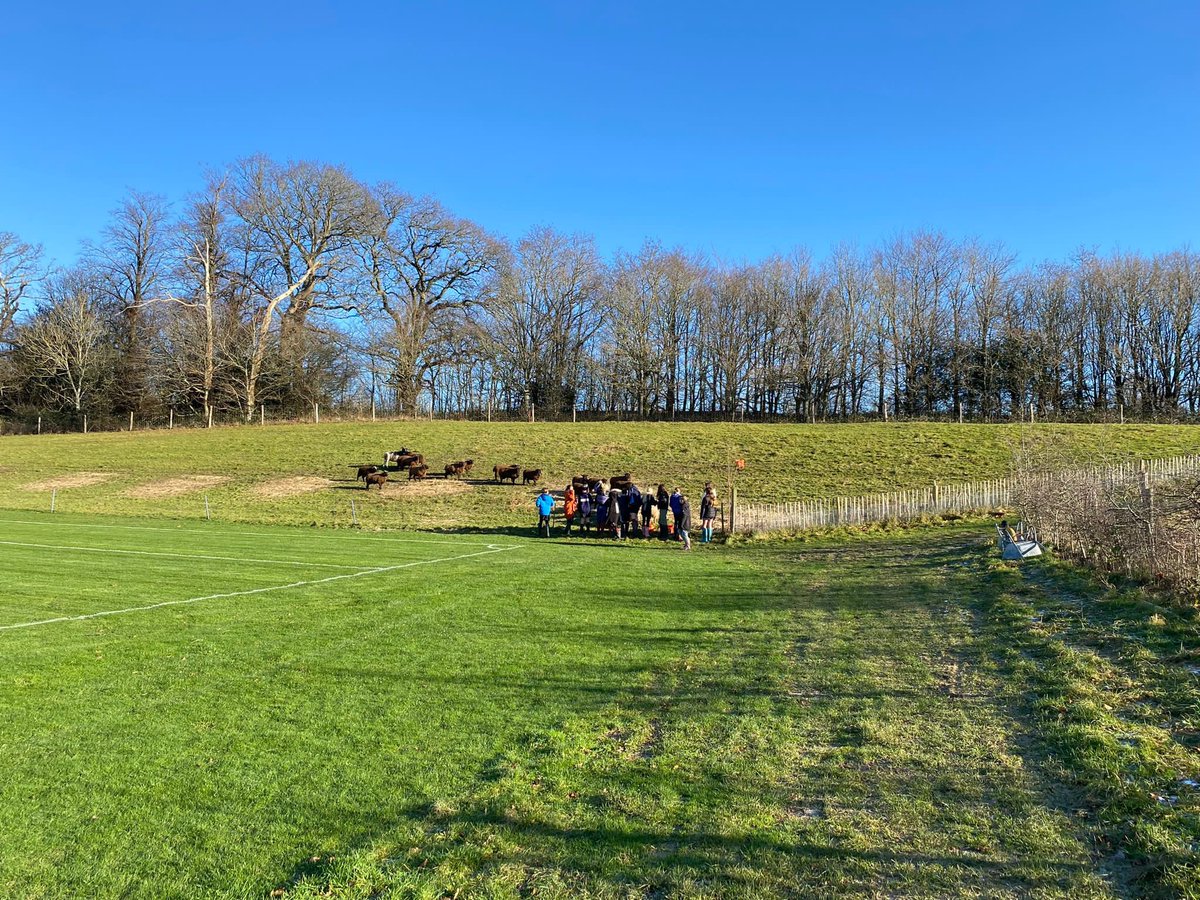 Bedales Prep ODW tweet media