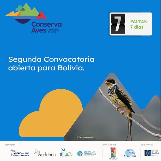 🚨Atención #Bolivia🚨 Inició la cuenta regresiva para el cierre de la Segunda Convocatoria abierta de Conserva Aves Bolivia. Consulta los Términos de Referencia aquí: fundesnap.org/convocatoria-a…