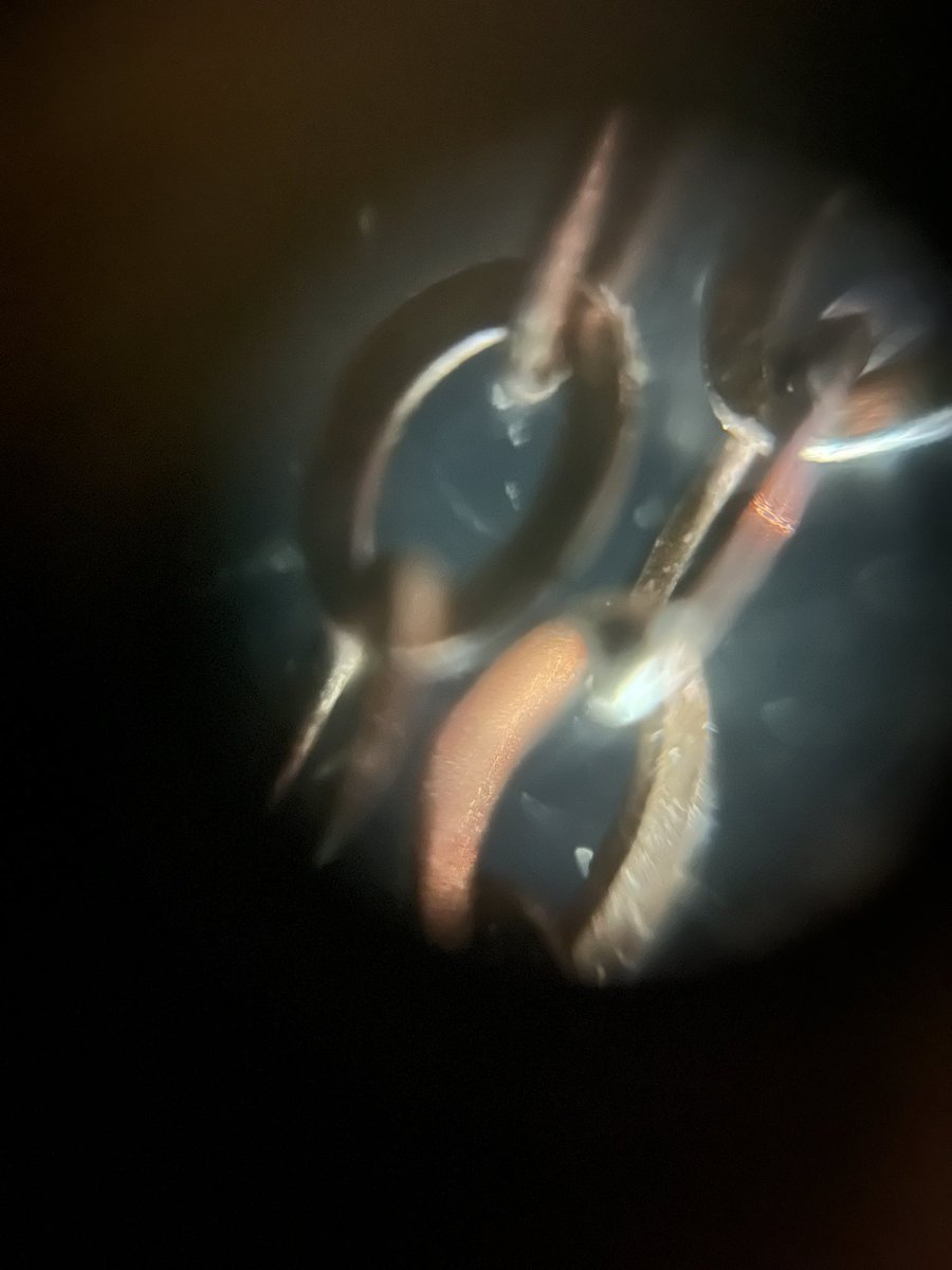 A microscope lens viewed through a microscope lens?

I put my <a href="/BoutiqAcademia/">Boutique Academia</a> microscope necklace under my #Foldscope 2.0. I especially love the aesthetic from the chain pictures!

50X magnification w/ reflective lighting

#Connections #STEAM #ScienceIsBeautiful #ScienceInArt
