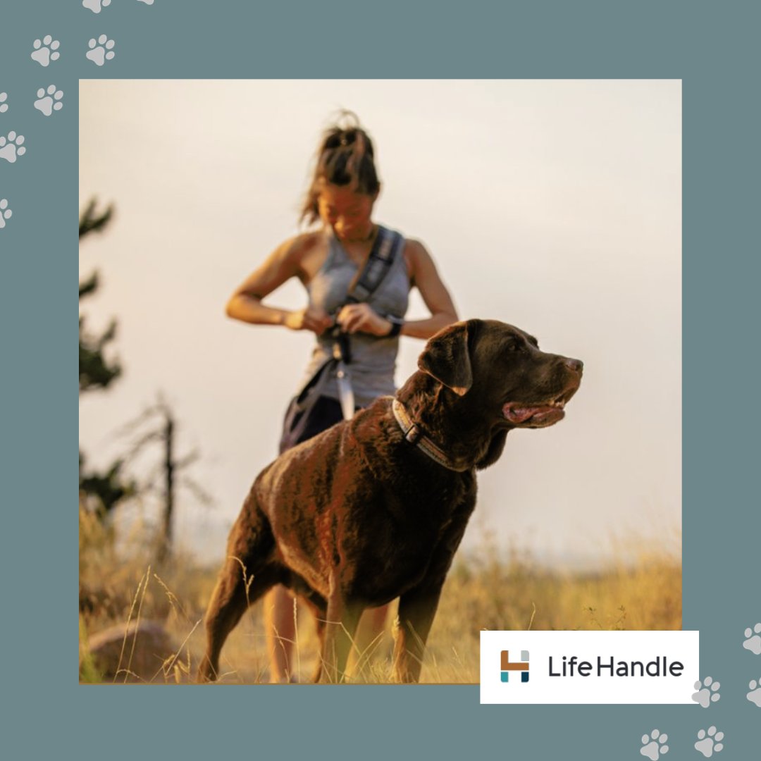 January is Walk Your Dog Month!  It's a perfect way to kickstart the year by establishing healthy habits for both dogs and their owners...so grab your LifeHandle, head outside and get some exercise!

#mylifehandle #NationalWalkYourDogMonth
mylifehandle.com