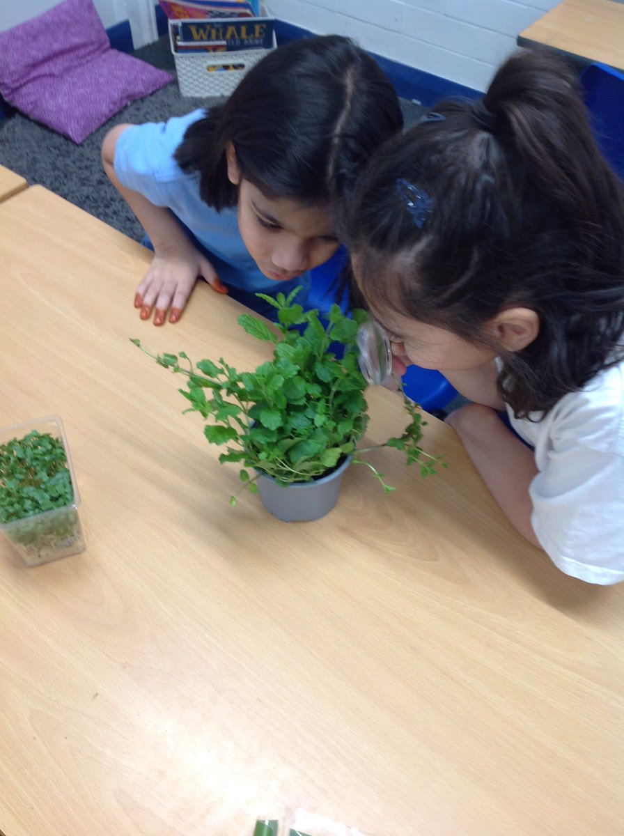 Benjamin Adlard tweet media