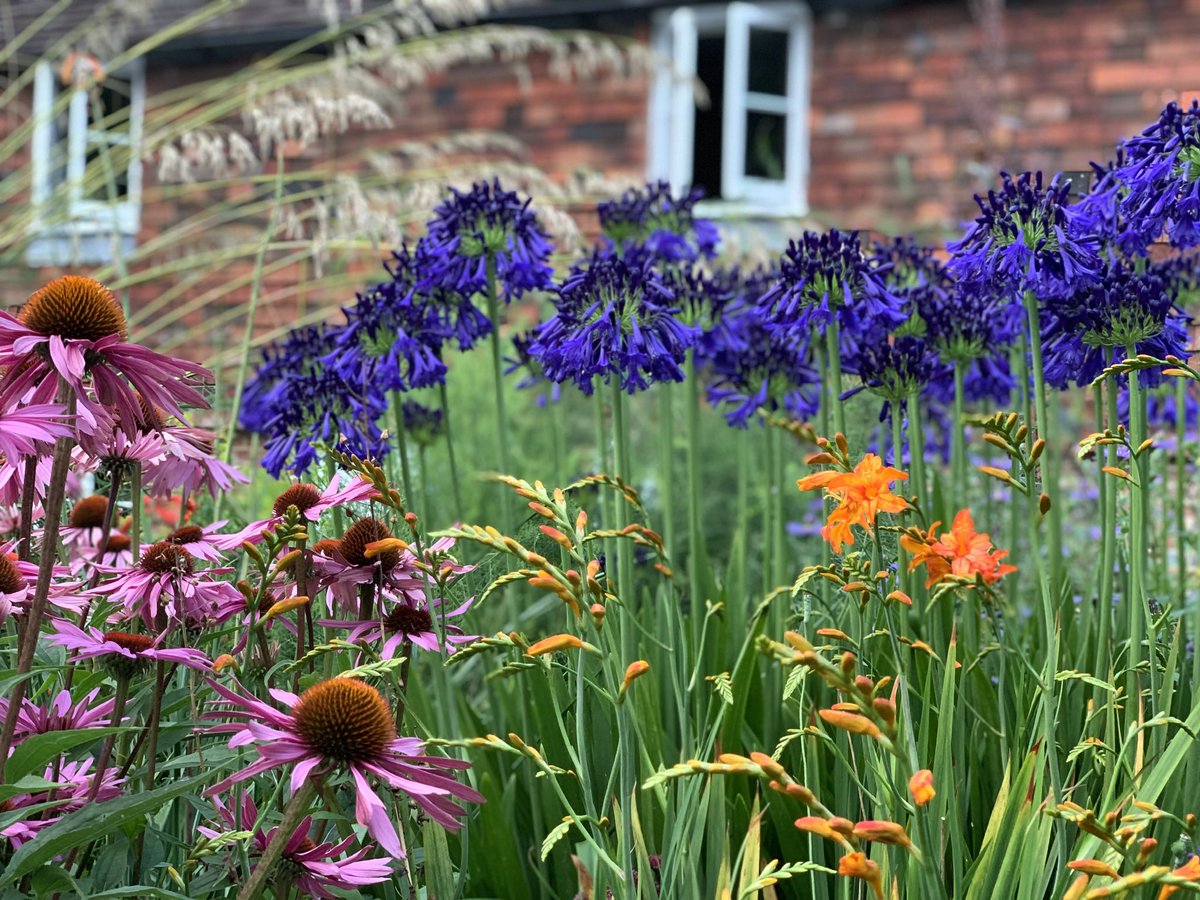 WFGA (@wfga_) on Twitter photo We’re looking for a Regional Manager to cover the Herts, Beds and Essex region. If you’re  passionate about horticulture and keen to promote our aim to train future gardeners, have a look Working for the WFGA  at WFGA.org.uk #horticulture  #GardeningTwitter #garden We’re looking for a Regional Manager to cover the Herts, Beds and Essex region. If you’re  passionate about horticulture and keen to promote our aim to train future gardeners, have a look Working for the WFGA  at WFGA.org.uk #horticulture  #GardeningTwitter #garden