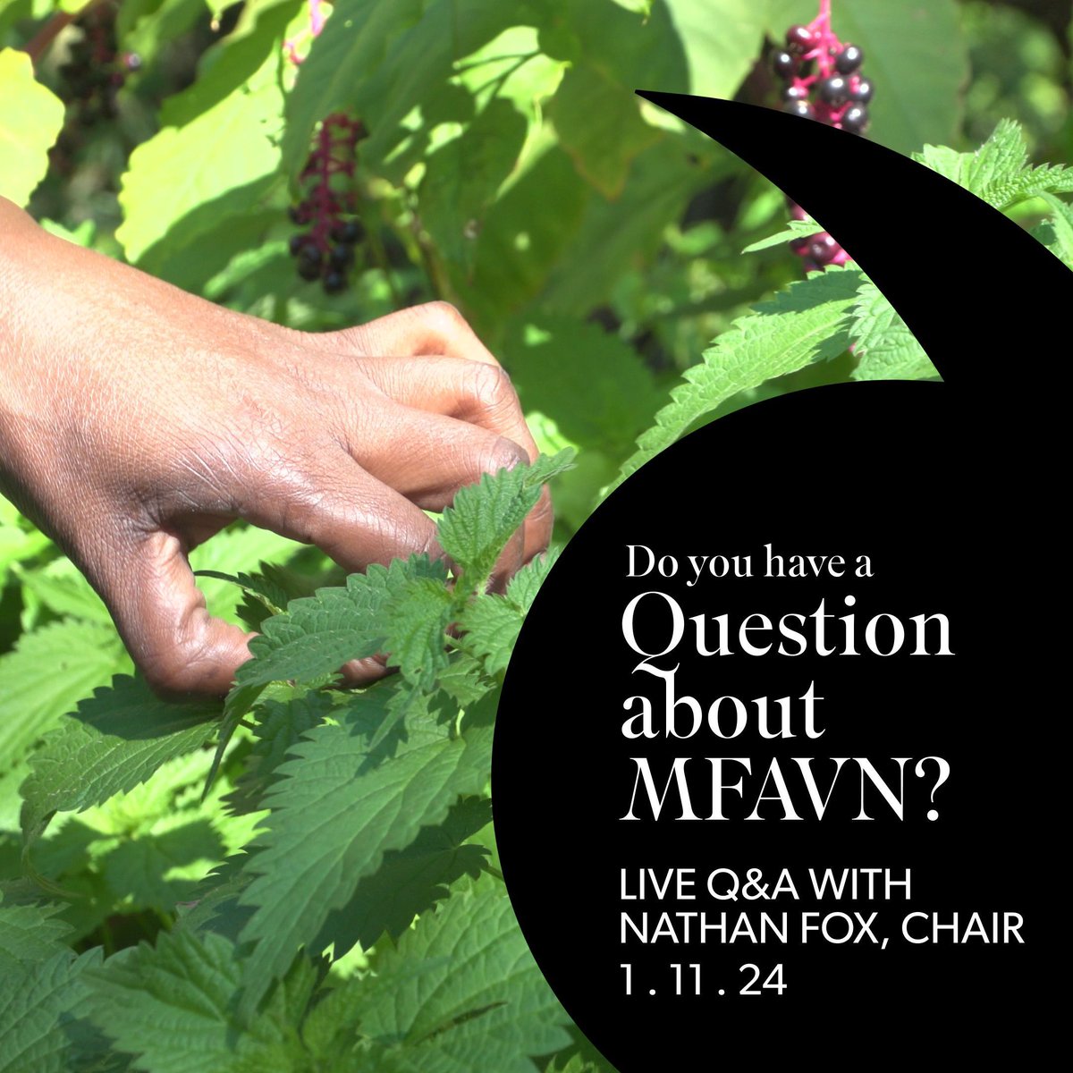 The first round application deadline is January 15th! Still have questions about the program or your application? Chair Nathan Fox <a href="/nathanfoxy/">Nathan Fox | #KillTheWeatherman</a> is holding two more virtual Q&amp;A sessions on Thursday, January 11, at 12-1 PM and 8-9 PM ET!

🔗 REGISTER: buff.ly/41LqMk4