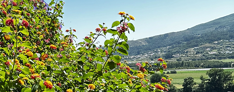 Fuller Seminary tweet media