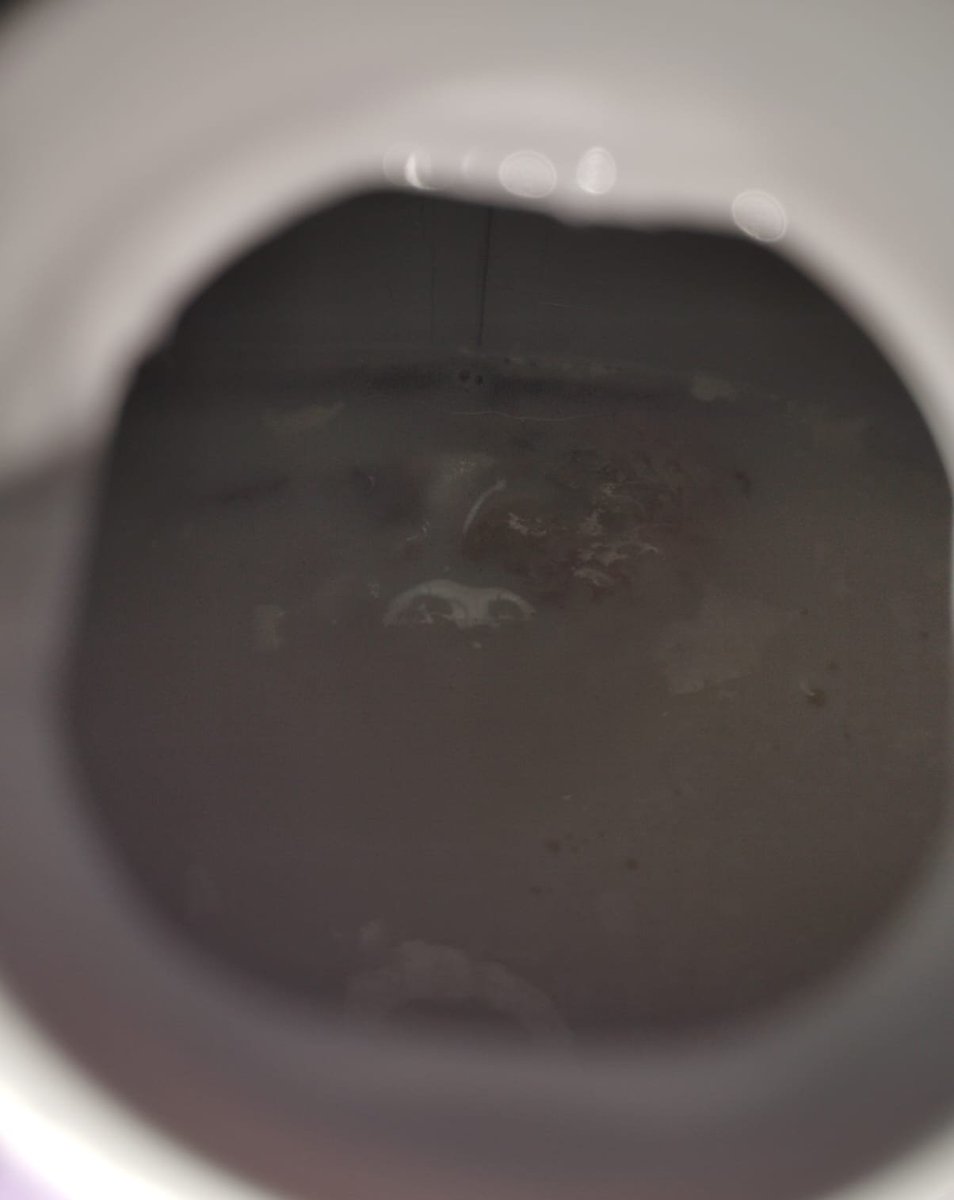 nemux's tweet photo. ¿Que onda @alpuraoficial con tu leche contaminada con excremento? Se supone que nueva y compramos 2 cajas, ¿Dónde están esos controles de calidad? https://t.co/P4gPV5xcYQ