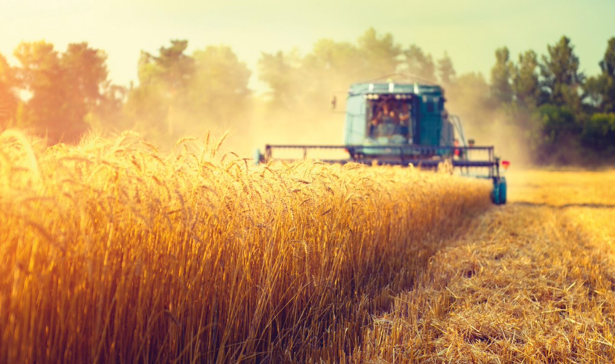 SPAFAXMIRRORS's tweet photo. 🚜 The natural choice for agricultural vehicles, SPAFAX unbreakable mirrors provide reliable and proven performance, reducing costs for all agricultural activities, whilst our camera systems, lighting and reversing aids help to ensure a safer working environment for all. https://t.co/JJJT6oVUaf